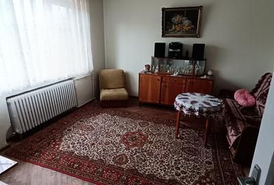 Vila deosebita in zona Cantacuzino - 12