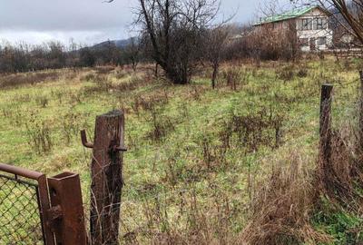Spațiu comercial, în Central - 2
