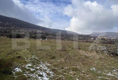 Teren de 2000 mp, în Viișoara