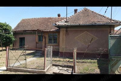 Casa de vanzare Casa de vanzare - 4