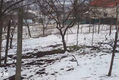 Teren de 704 mp, în Rediu - 3
