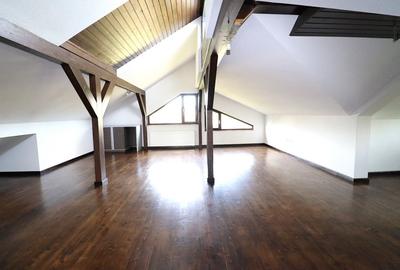 Vila S+P+E+M de vanzare in Brebu Megiesesc | 405 mp construiti, teren 1443 mp - 4