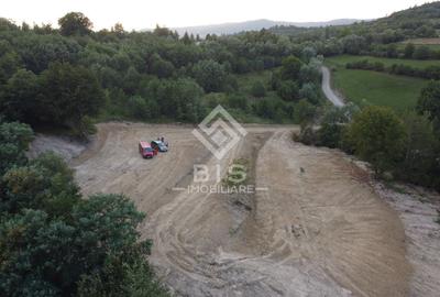 Teren extravilan de 12050 mp, în Mijlocenii Bârgăului - 3