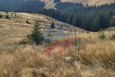 Teren de 1000 mp, în Central - 3