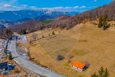 Teren Construcții intravilan de 2028 mp, în Fundata - 10