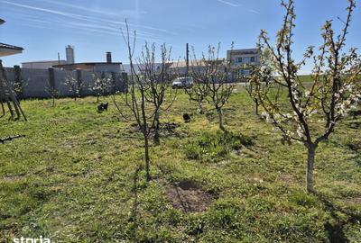 Teren de 525 mp, în Agigea