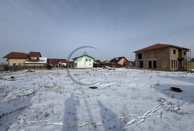 Teren Sanpetru Primaverii toate utilitatile - 1