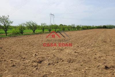 Teren de 2400 mp, în Câmpina - 7