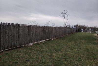 Casă cu Teren 3000 Mp în Mircea Vodă - 2