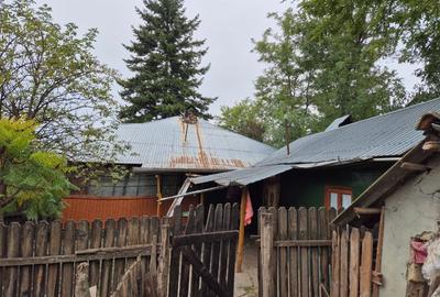 Casă cu teren 3.682 mp, sat Radu Vodă (com. Lupsanu, jud. Călărași) - 5