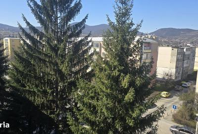 Apartament cu 2 camere decomandat în Bălcescu - 6