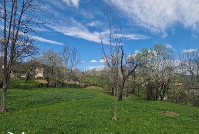 Teren de 12000 mp, în Ghioșești - 6