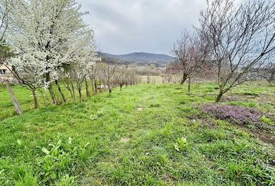 Casă cu 3 camere în Central