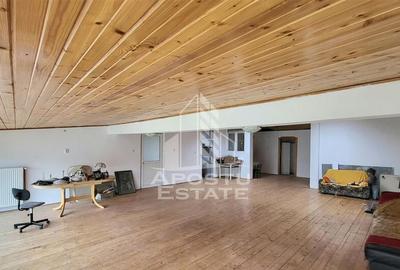 Casa ideala pentru birouri/alte activitati Mehala - 14