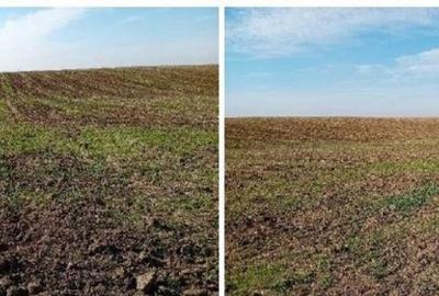 Teren de 6700 mp, în Bârlogu - 6