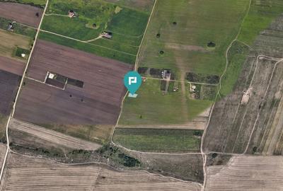 Teren  servicii, 609 mp, Chișoda - 3