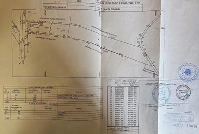 Casă cu Teren 4800 Mp în Balta Doamnei - 2