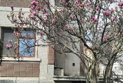 Casă individuală cu 5 camere cu Canalizare în Teilor - 2