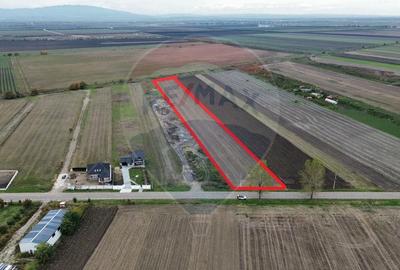 Teren Construcții intravilan de 10869 mp, în Mirceștii Vechi - 2