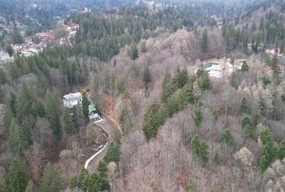 Teren Construcții intravilan de 1700 mp, în Castelul Peleș - 14