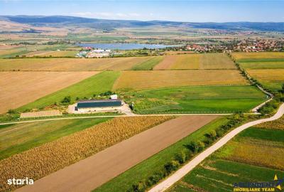 Teren de 18000 mp, în Feldioara - 10