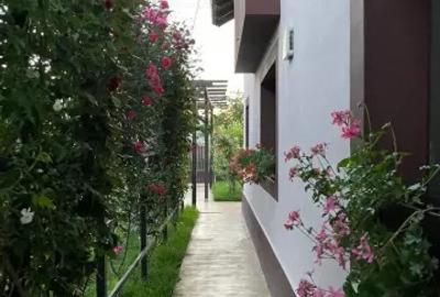 Casa, 5 camere, constructie 2022, teren 1000mp, Mehedinta, 250.000euro - 2