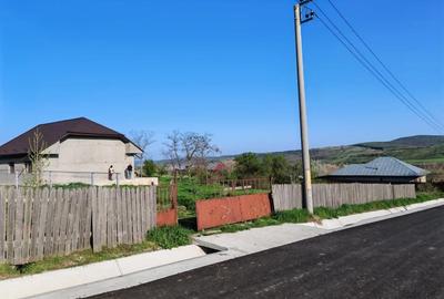 Casă cu 4 camere cu Teren 12000 Mp în Laza - 6