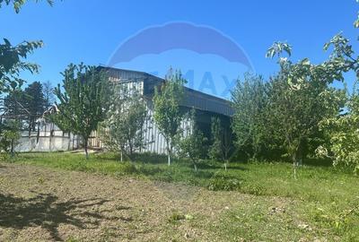 Hala metalica Campineanca - 2