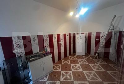 Apartament cu 2 camere de vanzare, 50 mp, zona Traian, Timisoara - 3