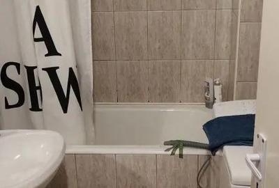 Garsonieră decomandată, mobilată în Circumvalațiunii - 3