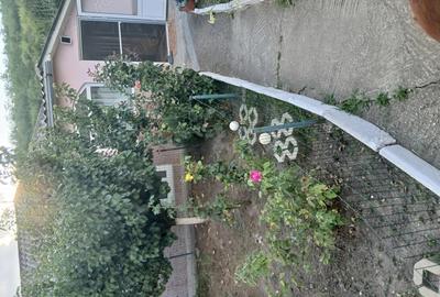 Casa cu gradina in Probota Iasi.