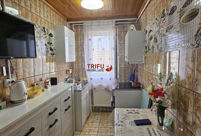 Apartament cu 2 camere semidecomandat în Cetate - 2