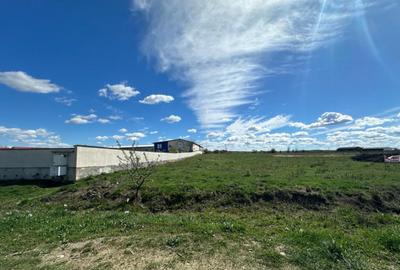 Teren intravilan situat in Targu Jiu - strada Narciselor - 2