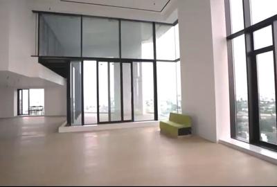 Penthouse cu 5 camere decomandat în Barbu Văcărescu - 2