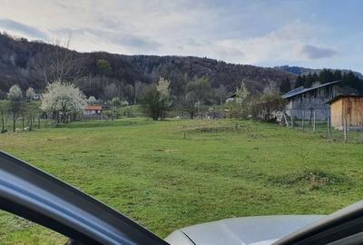 Teren de 8674 mp, în Padeș