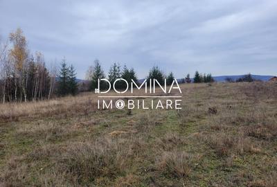 Teren Construcții intravilan de 5000 mp, în Central - 7