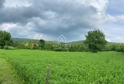 Teren de 15900 mp, în Năeni - 18