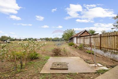 Casa si teren 2173 mp de vanzare in Tipar , la 12km de Chisineu Cris - 21