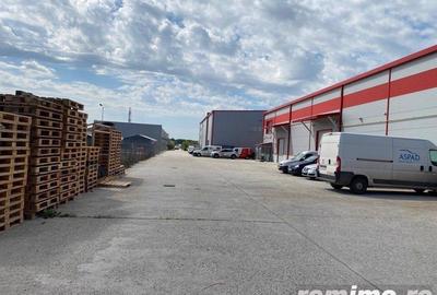 Spațiu comercial, de 500 mp, în Tunari - 6