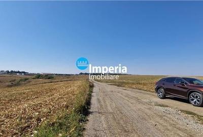 Teren de vanzare in Iasi, zona Breazu Teren de vanzare in Iasi, zona Breazu - 5