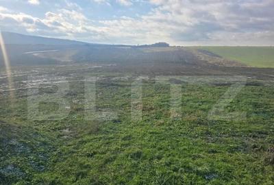 Teren intravilan in Cheriu foarte aproape de inelul metropol - 4