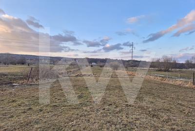 Teren de vanzare – 2.106 mp, agricol extravilan, Calinis, Rasinari - 6