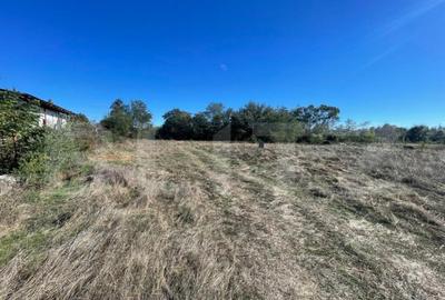 Teren Intravilan de vanzare, 900mp, Turcinesti - 2