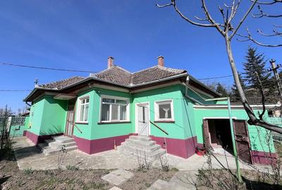 Casă cu Teren 1379 Mp în Central - 1