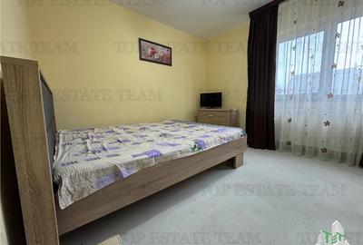 Apartament cu 2 camere decomandat, mobilat în City Park Mall - 3