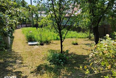 Casă cu 3 camere cu Teren 1150 Mp în Scorțeni - 2