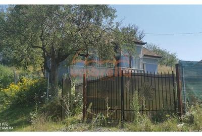 De vanzare casa si grajd +3000/? teren livada in Sumurducu - Sanpaul - 1