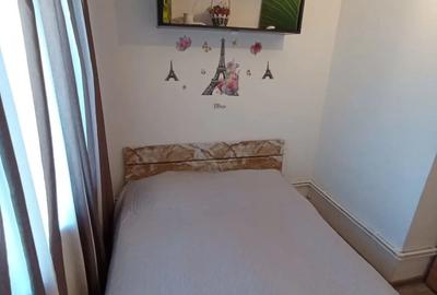 Studio cu GAZE - Termen lung in bloc de Apt- Navodari - 5