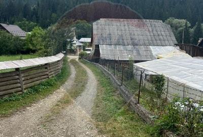 Teren 6,865mp Voronet / Gura Humorului / Bucovina - 8