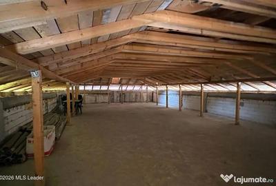 Spațiu comercial, de 319 mp, în Domnești - 13